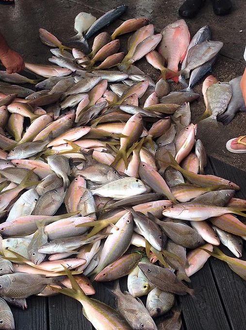 Fishing trips in the florida keys