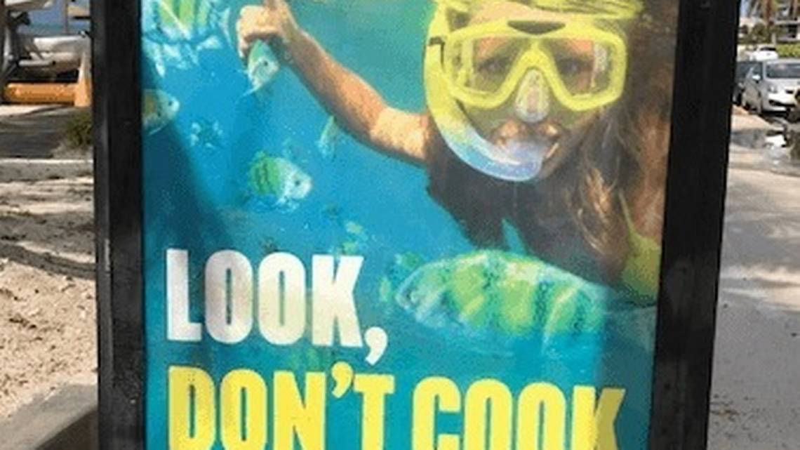 Miami Herald Peta attempts to stop fishing in key west